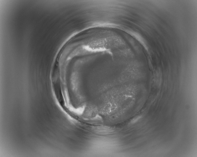 X0000068891007200606021914