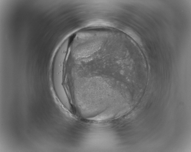 X0000068891008200606021914