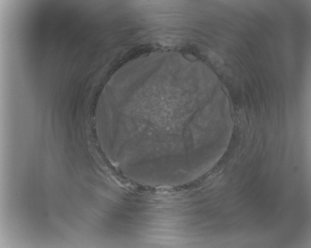 X0000068891009200606021913