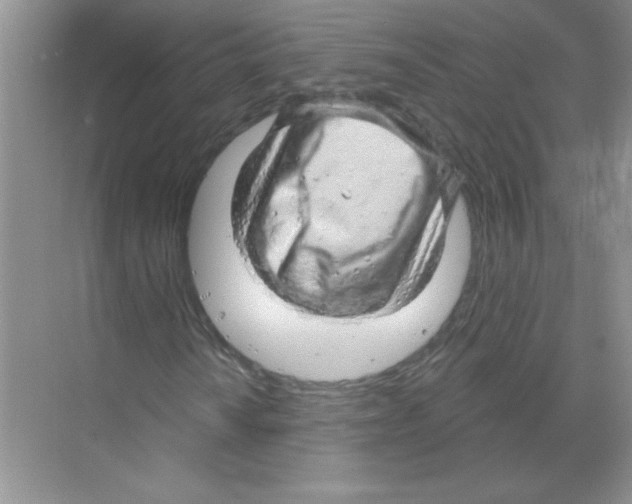 X0000068891010200606021914