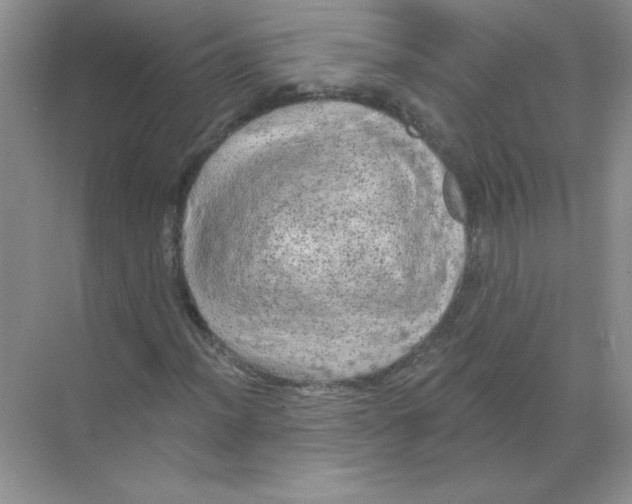 X0000068891012200606021914