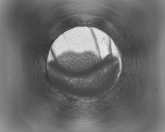 X0000068891013200606021914