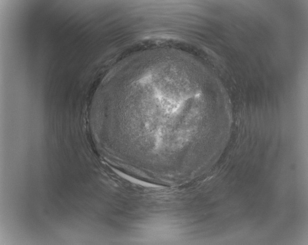 X0000068891014200606021914