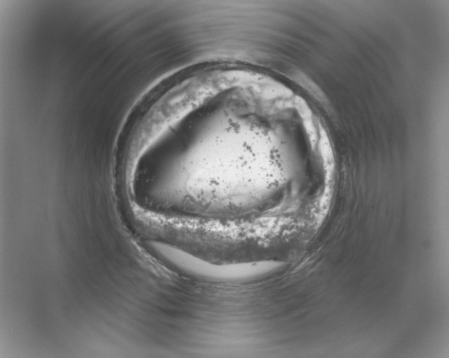 X0000068891020200606021914