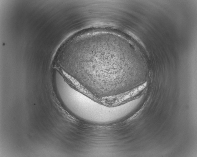 X0000068891021200606021914