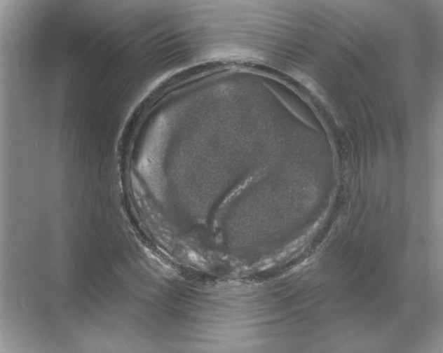 X0000068891022200606021914