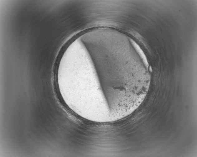 X0000068891024200606021914