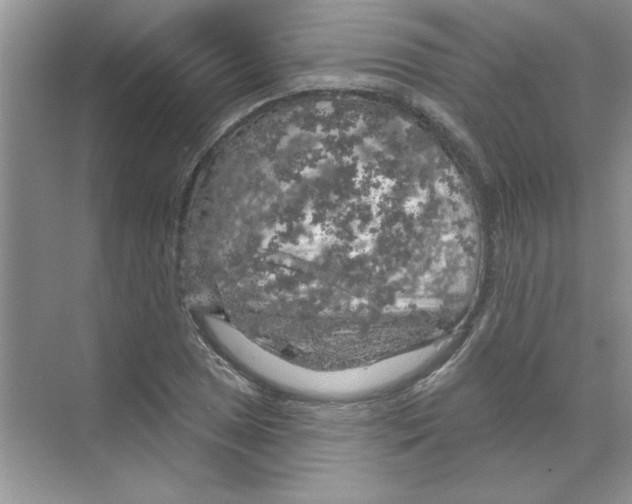 X0000068891025200606021914