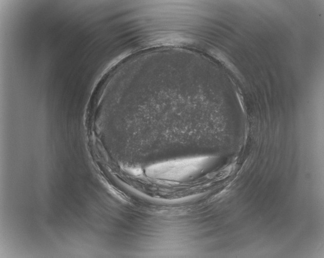 X0000068891026200606021914