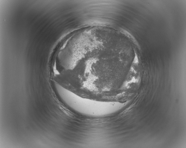 X0000068891027200606021914