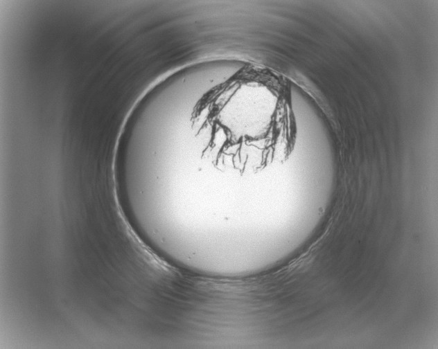 X0000068891028200606021914