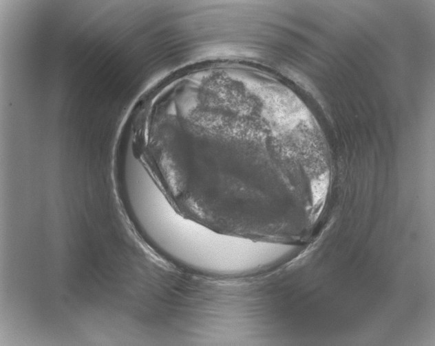 X0000068891029200606021914