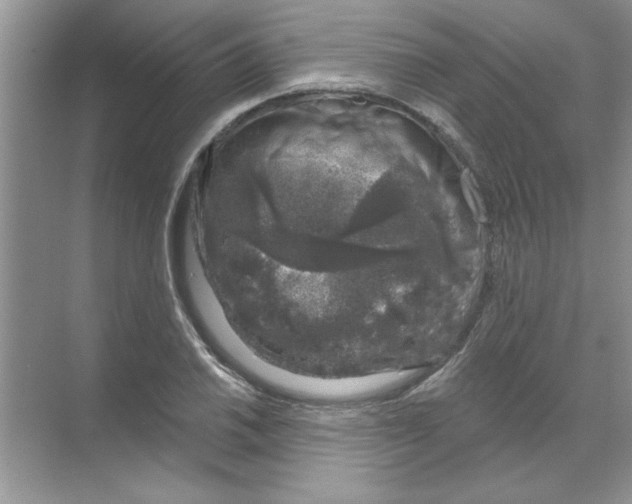 X0000068891030200606021914