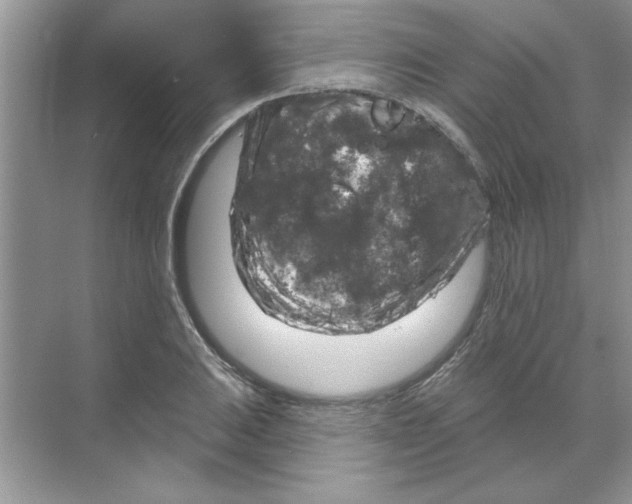 X0000068891031200606021914