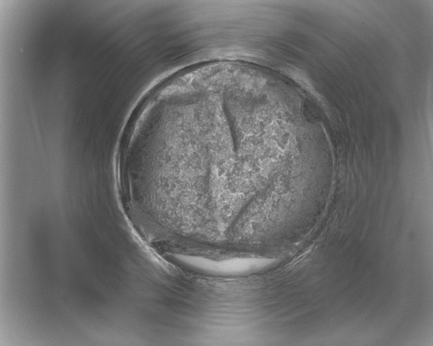 X0000068891032200606021914