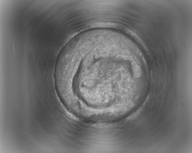 X0000068891033200606021914