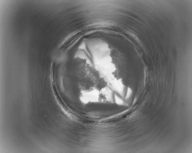 X0000068891034200606021914