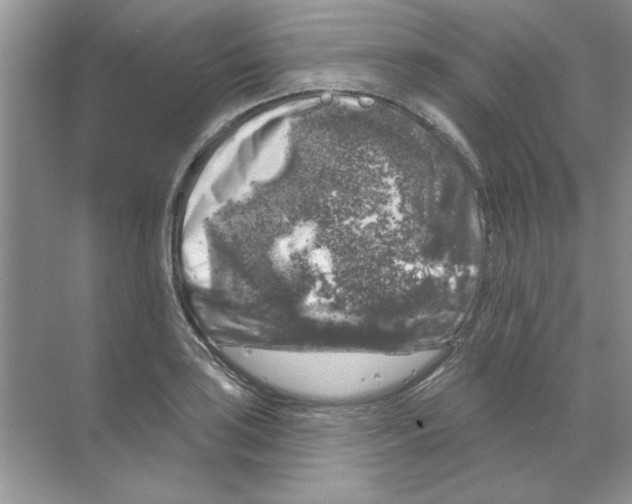 X0000068891035200606021914