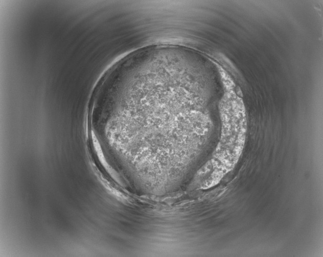 X0000068891036200606021914