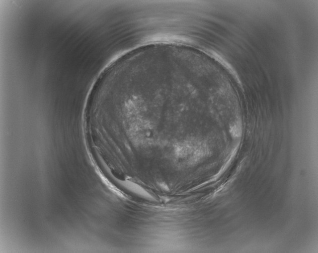 X0000068891037200606021914