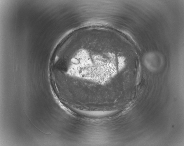 X0000068891038200606021914