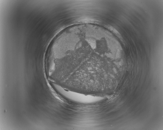 X0000068891039200606021914