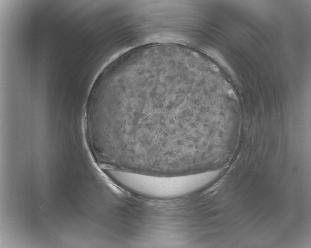 X0000068891040200606021914