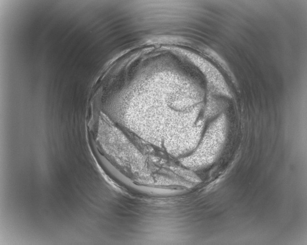 X0000068891041200606021914