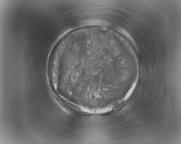 X0000068891043200606021914