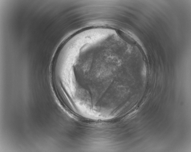 X0000068891045200606021914