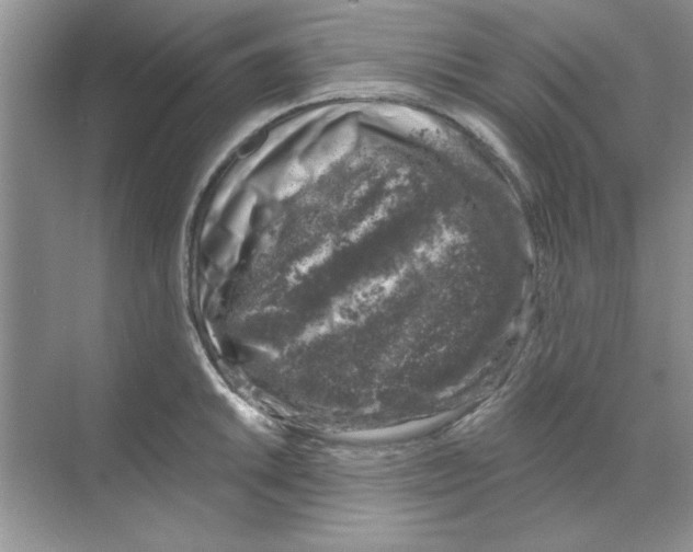 X0000068891046200606021914