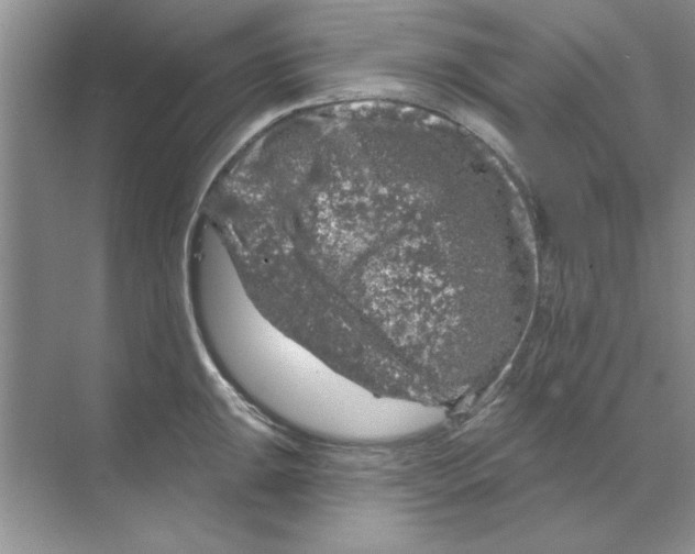 X0000068891047200606021914