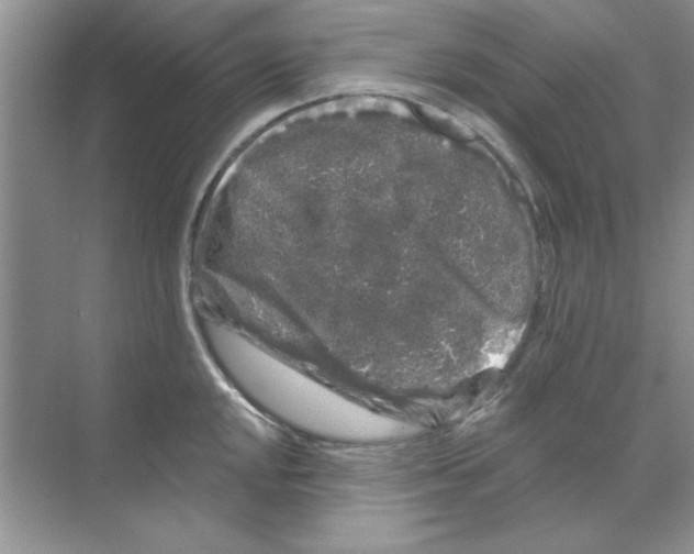 X0000068891048200606021914