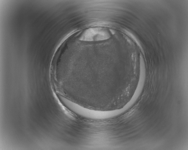 X0000068891050200606021914