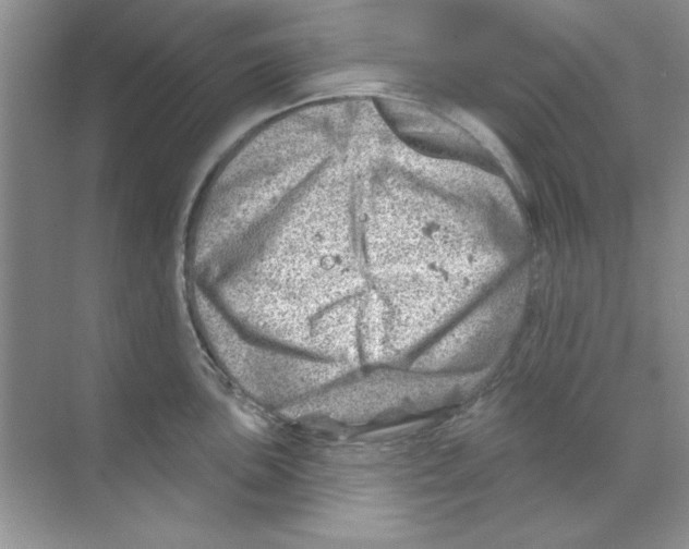 X0000068891051200606021914