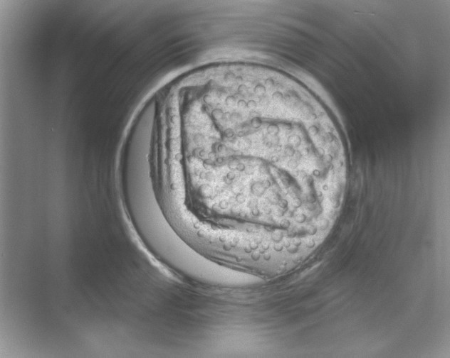 X0000068891053200606021914