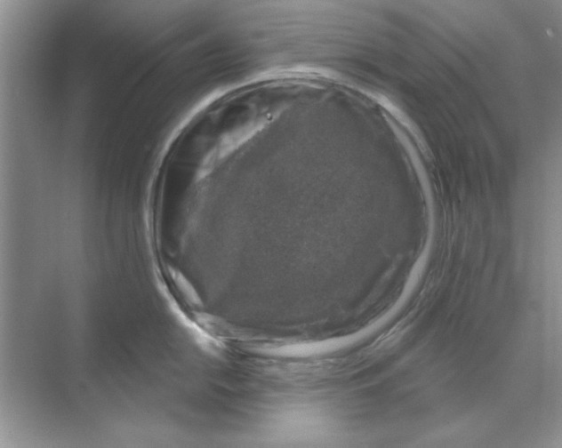 X0000068891054200606021914