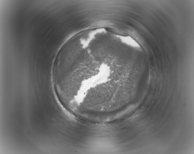 X0000068891055200606021914