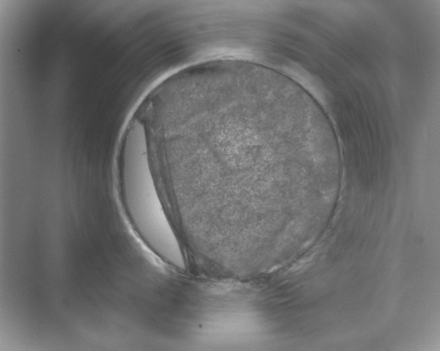 X0000068891056200606021914