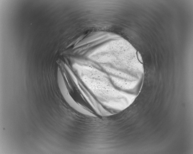 X0000068891058200606021913