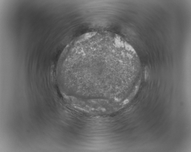 X0000068891059200606021913