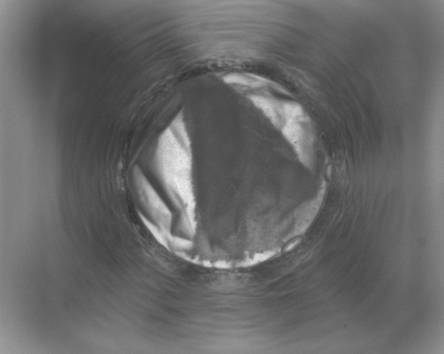 X0000068891060200606021913