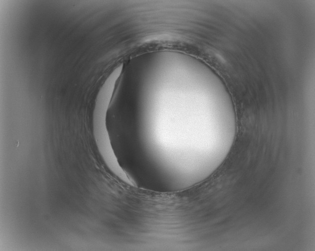 X0000068891062200606021913