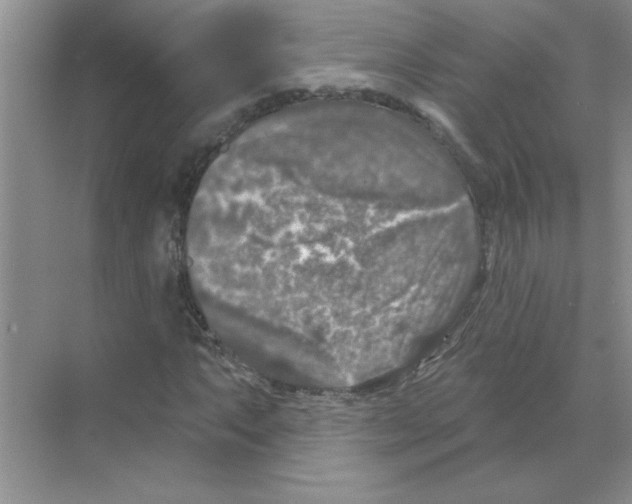 X0000068891063200606021913