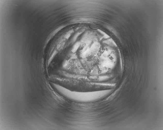 X0000068891066200606021913