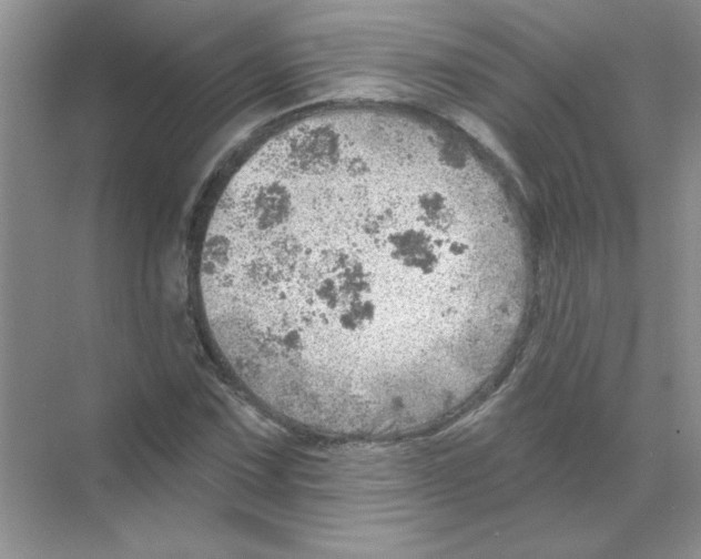 X0000068891067200606021913