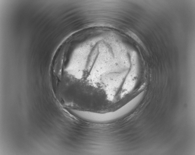 X0000068891068200606021913