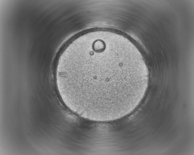 X0000068891070200606021913