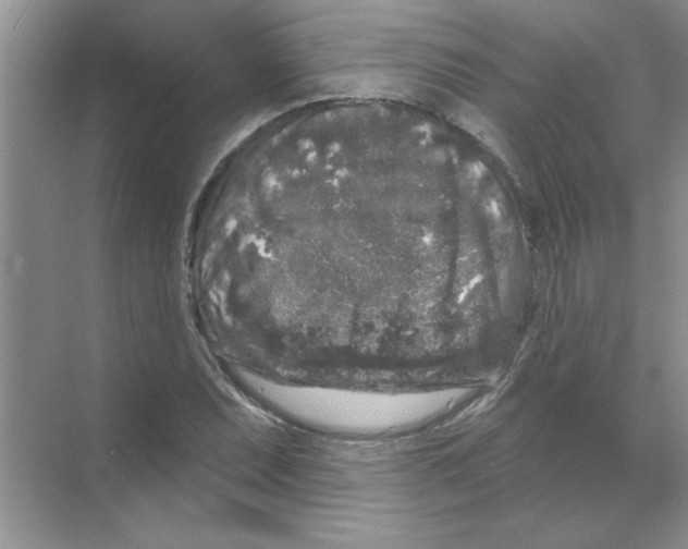 X0000068891071200606021913