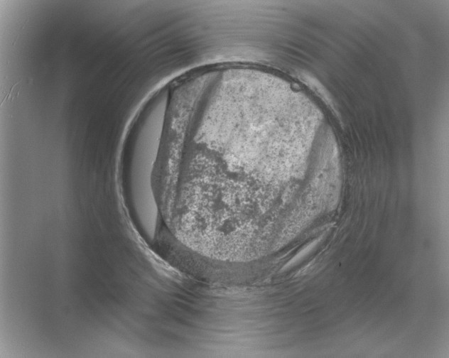 X0000068891072200606021913